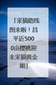 采摘路线图来啦！昌平近5000亩樱桃迎来采摘黄金期