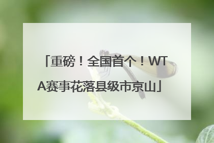 重磅！全国首个！WTA赛事花落县级市京山