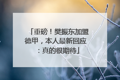 重磅！樊振东加盟德甲，本人最新回应：真的很期待