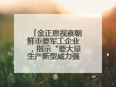 金正恩视察朝鲜重要军工企业，指示“要大量生产新型威力强大的炮弹”