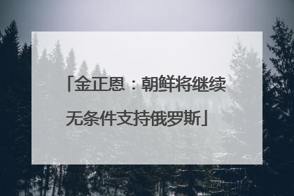 金正恩：朝鲜将继续无条件支持俄罗斯