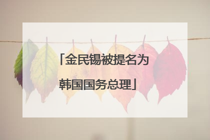 金民锡被提名为韩国国务总理