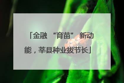 金融 “育苗” 新动能，莘县种业拔节长