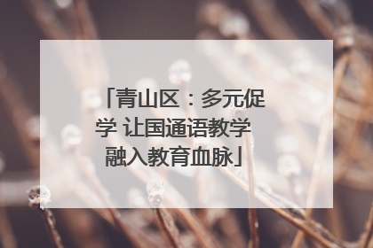 青山区：多元促学 让国通语教学融入教育血脉