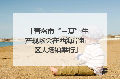 青岛市“三夏”生产现场会在西海岸新区大场镇举行