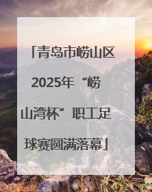 青岛市崂山区2025年“崂山湾杯”职工足球赛圆满落幕