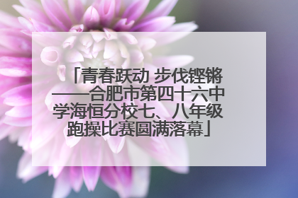 青春跃动 步伐铿锵——合肥市第四十六中学海恒分校七、八年级跑操比赛圆满落幕