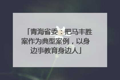 青海省委：把马丰胜案作为典型案例，以身边事教育身边人