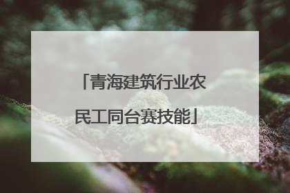 青海建筑行业农民工同台赛技能