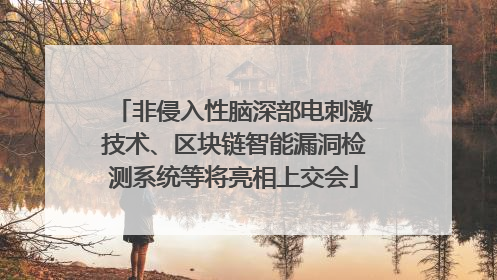 非侵入性脑深部电刺激技术、区块链智能漏洞检测系统等将亮相上交会