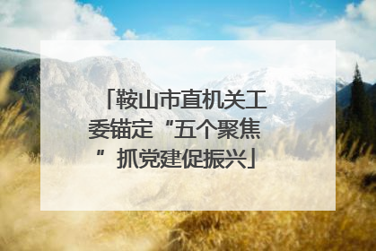 鞍山市直机关工委锚定“五个聚焦”抓党建促振兴