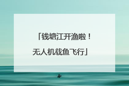 钱塘江开渔啦！无人机载鱼飞行
