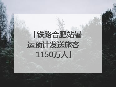 铁路合肥站暑运预计发送旅客1150万人