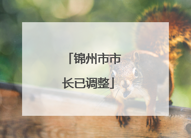 锦州市市长已调整