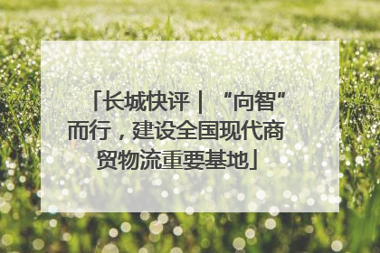 长城快评｜“向智”而行，建设全国现代商贸物流重要基地