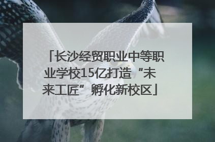 长沙经贸职业中等职业学校15亿打造“未来工匠”孵化新校区