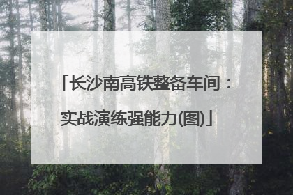长沙南高铁整备车间：实战演练强能力(图)