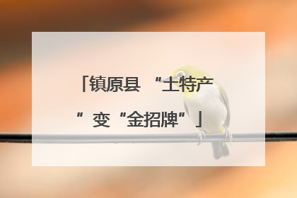 镇原县 “土特产”变“金招牌”