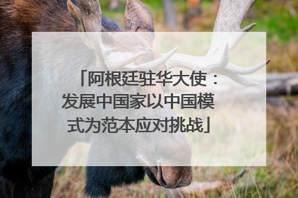 阿根廷驻华大使：发展中国家以中国模式为范本应对挑战