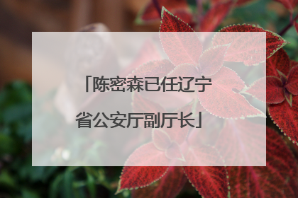 陈密森已任辽宁省公安厅副厅长