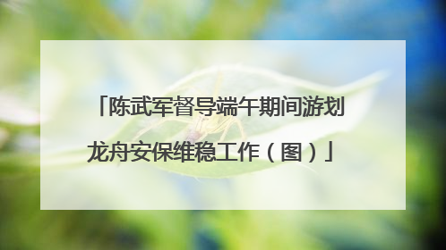 陈武军督导端午期间游划龙舟安保维稳工作（图）