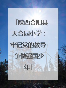 陕西合阳县天合园小学：牢记党的教导 争做强国少年