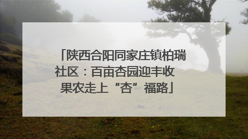 陕西合阳同家庄镇柏瑞社区：百亩杏园迎丰收 果农走上“杏”福路