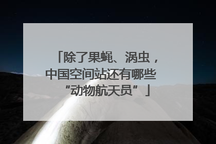 除了果蝇、涡虫，中国空间站还有哪些“动物航天员”