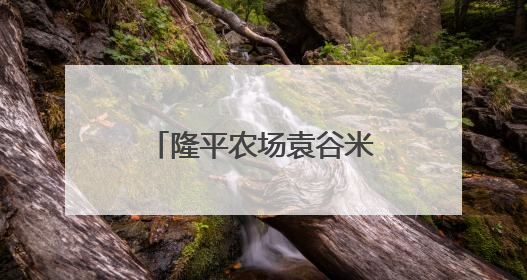 隆平农场袁谷米乳首发亮相中非经贸博览会“味道湖南”美食市集
