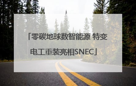 零碳地球数智能源 特变电工重装亮相SNEC