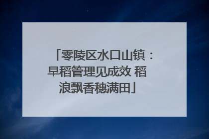 零陵区水口山镇：早稻管理见成效 稻浪飘香穗满田