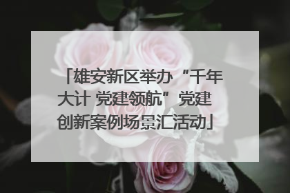 雄安新区举办“千年大计 党建领航”党建创新案例场景汇活动