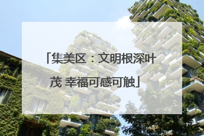 集美区：文明根深叶茂 幸福可感可触