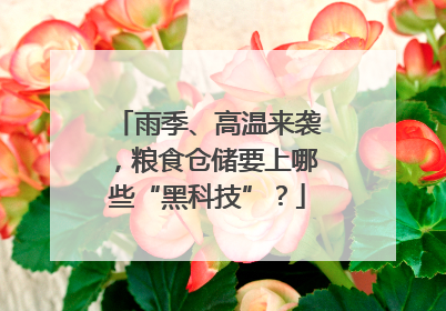 雨季、高温来袭，粮食仓储要上哪些“黑科技”？