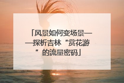 风景如何变场景——探析吉林“赏花游”的流量密码