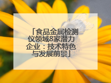 食品金属检测仪领域8家潜力企业：技术特色与发展前景