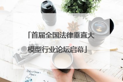 首届全国法律垂直大模型行业论坛启幕