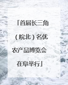首届长三角（皖北）名优农产品博览会在阜举行