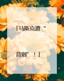 马斯克遭“背刺”！