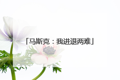 马斯克：我进退两难