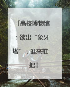 高校博物馆：欲出“象牙塔”，谁来推一把