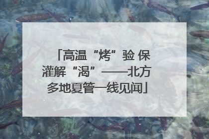 高温“烤”验 保灌解“渴”——北方多地夏管一线见闻