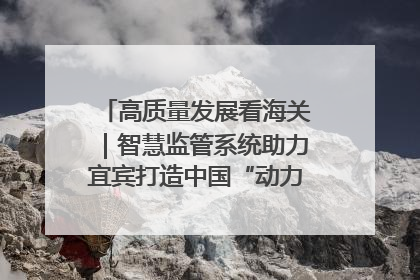 高质量发展看海关｜智慧监管系统助力宜宾打造中国“动力电池之都”