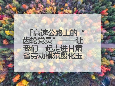 高速公路上的“齿轮党员”——让我们一起走进甘肃省劳动模范殷化玉的故事
