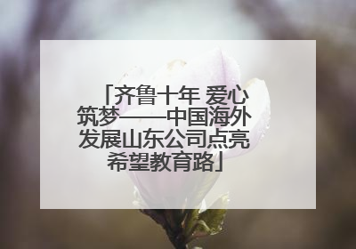 齐鲁十年 爱心筑梦——中国海外发展山东公司点亮希望教育路