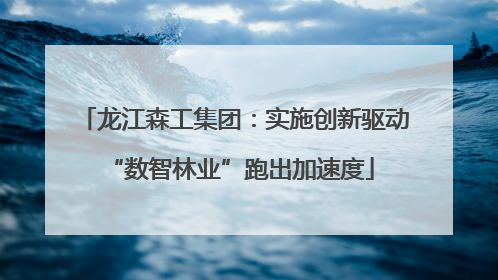 龙江森工集团：实施创新驱动 “数智林业”跑出加速度