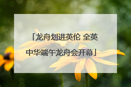 龙舟划进英伦 全英中华端午龙舟会开幕