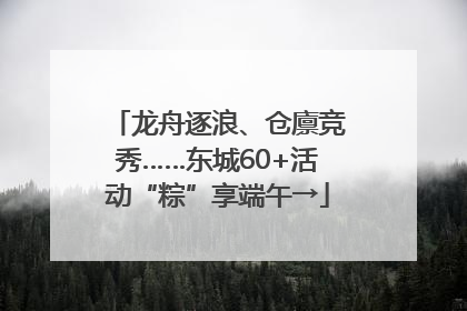 龙舟逐浪、仓廪竞秀……东城60+活动“粽”享端午→