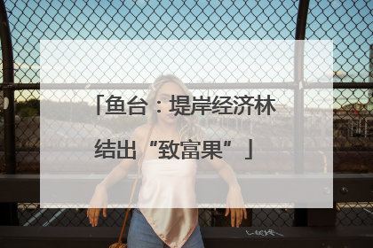 鱼台：堤岸经济林结出“致富果”