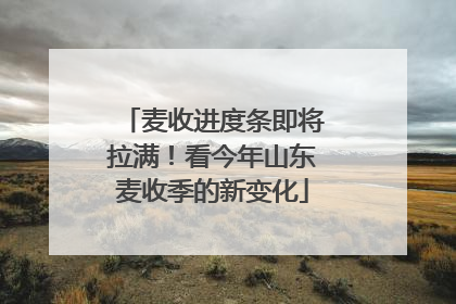 麦收进度条即将拉满！看今年山东麦收季的新变化